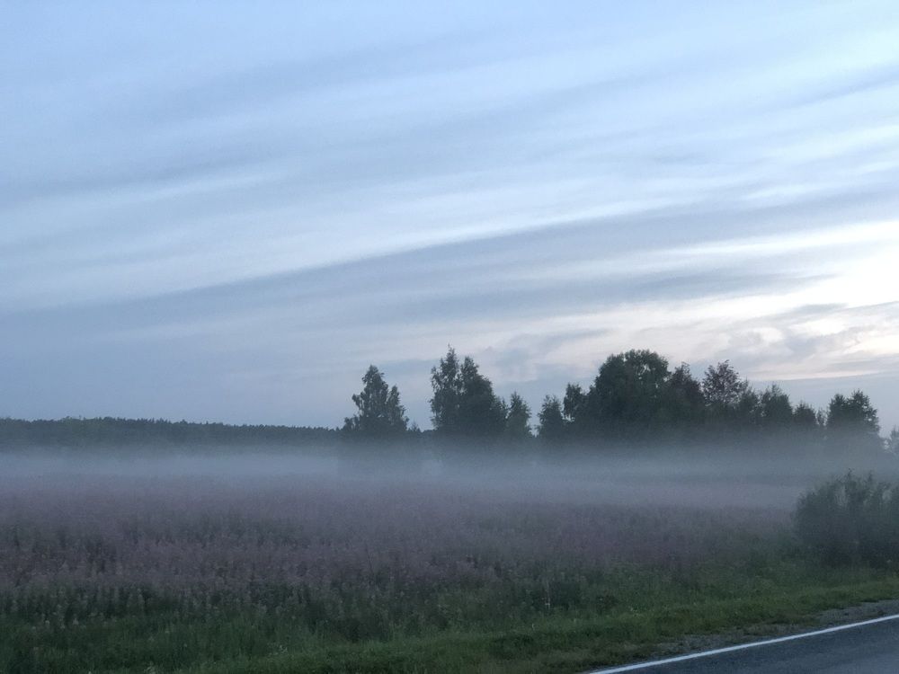 Photograph by Елена Змейкова