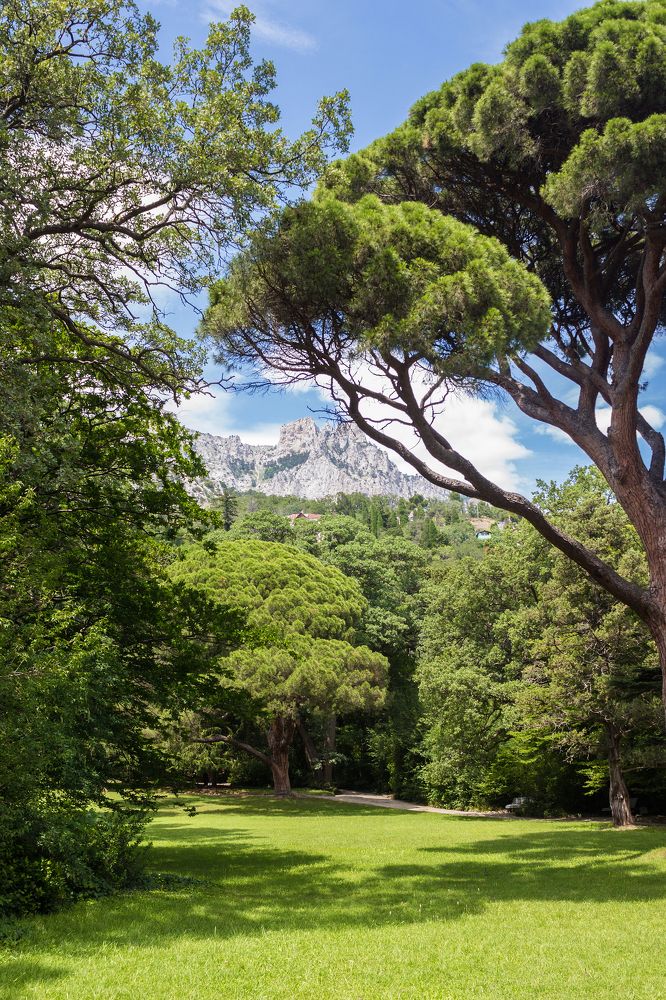 Photograph by Яна Кисловская