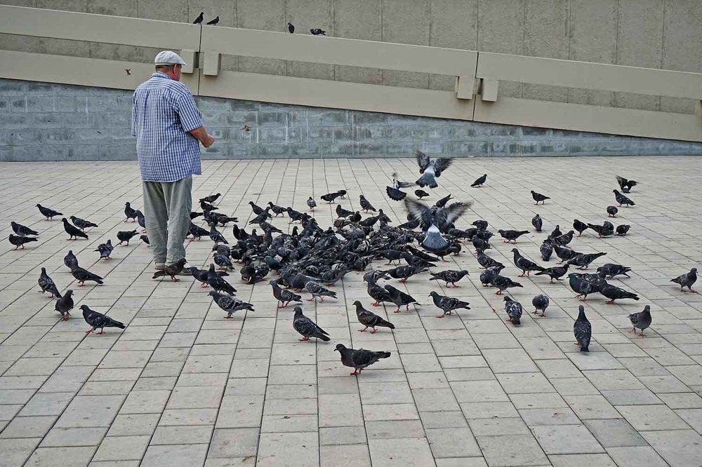 Photograph by Игорь Пшеничников