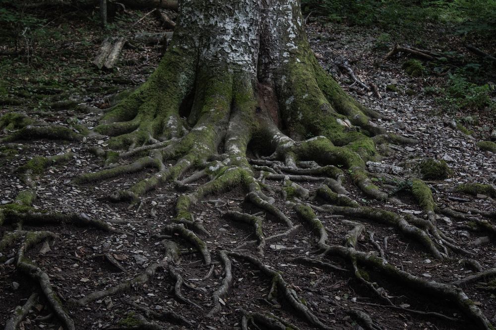 Photograph by Яна Кисловская