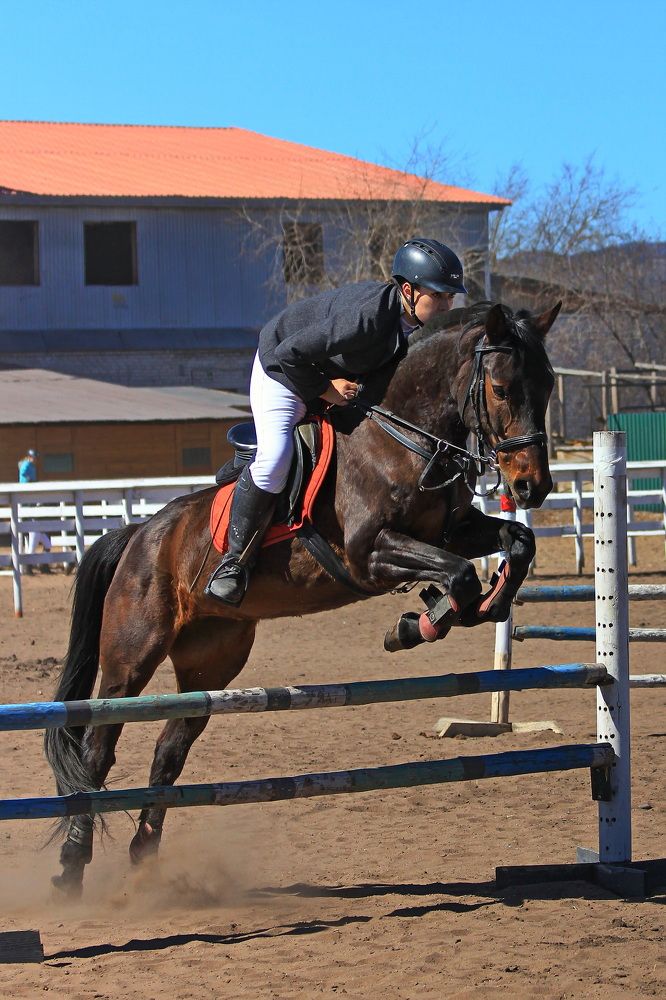 Photograph by Геннадий Лосев