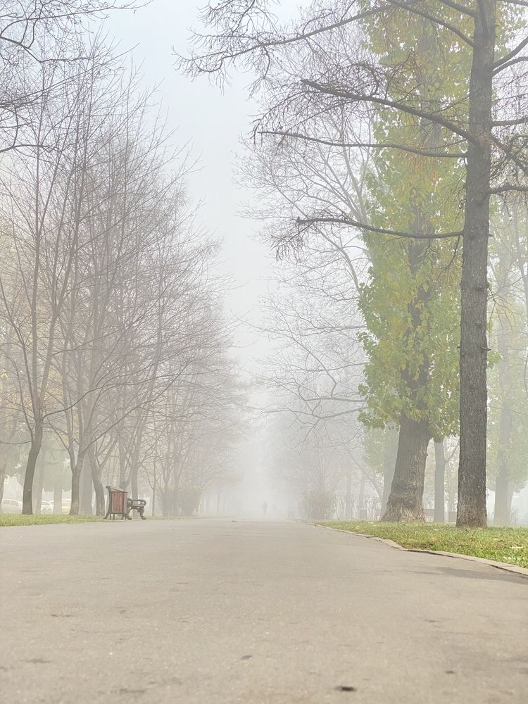 Туман в Москве