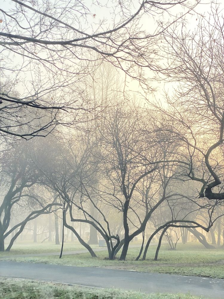 Туман в Москве