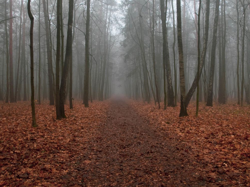 Photograph by Игорь Криулин