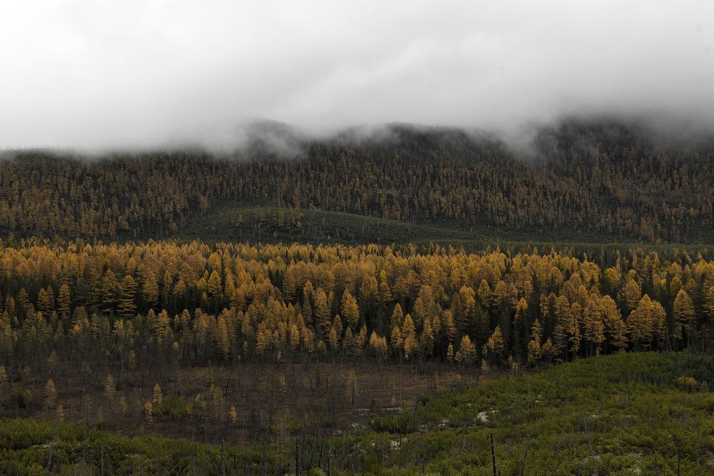 Photograph by Aleksey Abramov