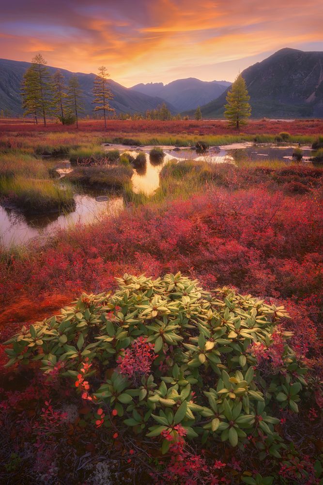 Фотография автора Дмитрий Медянцев