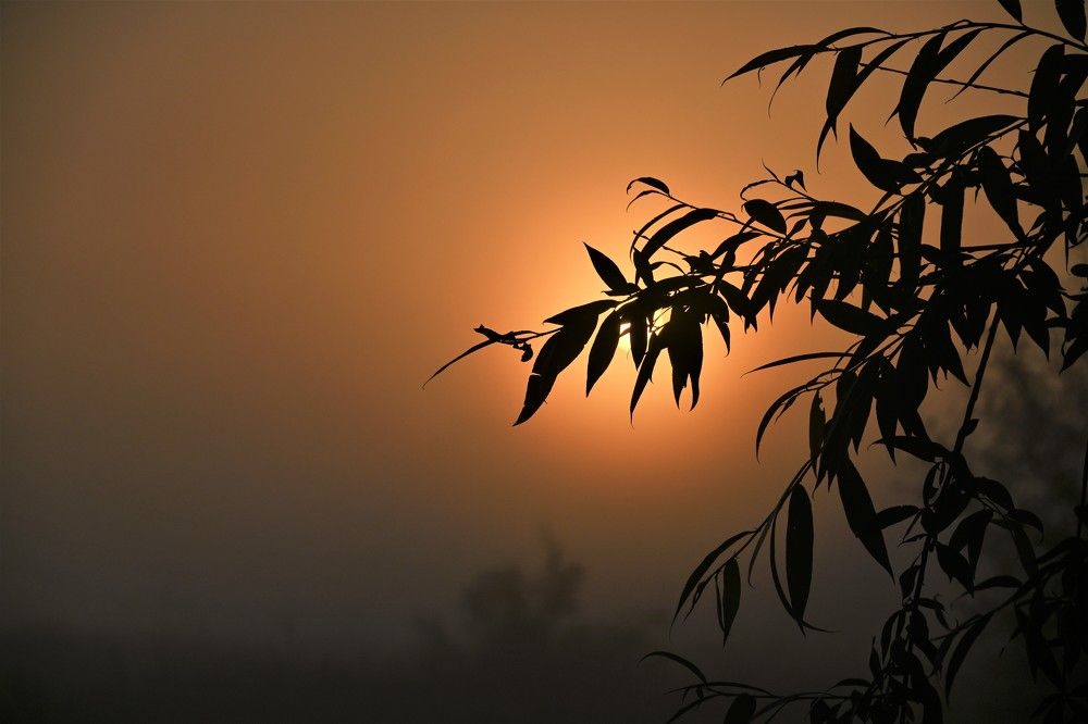 Photograph by IRINA FILIPPOVA