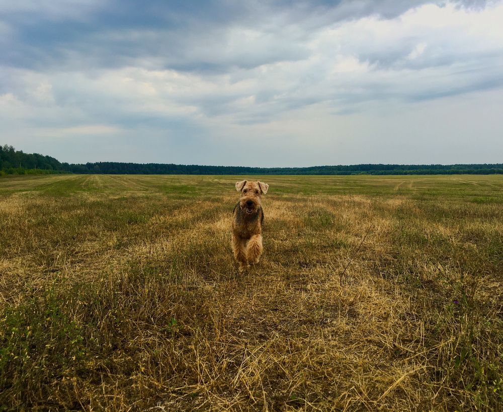 Photograph by Matvey Korotkin