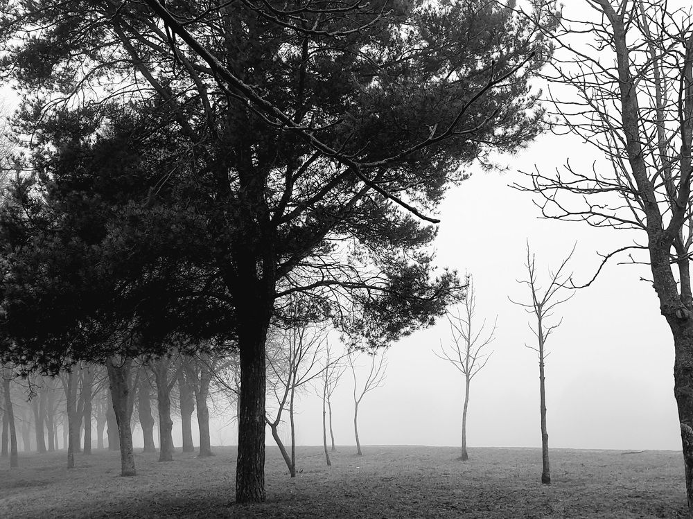 Photograph by Наталья Пагоцкая