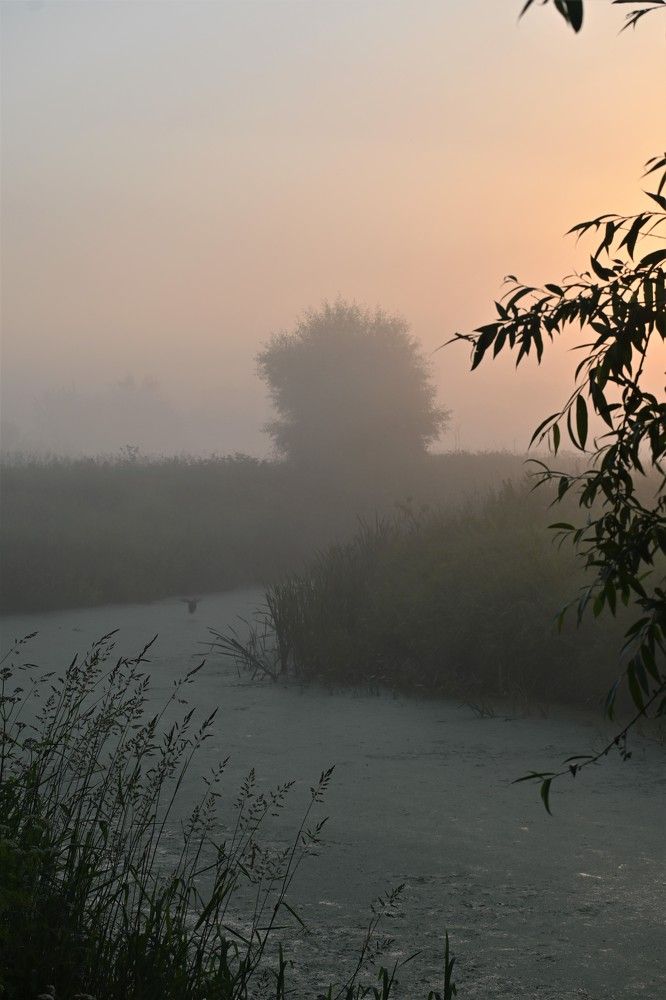 Фотография автора IRINA FILIPPOVA