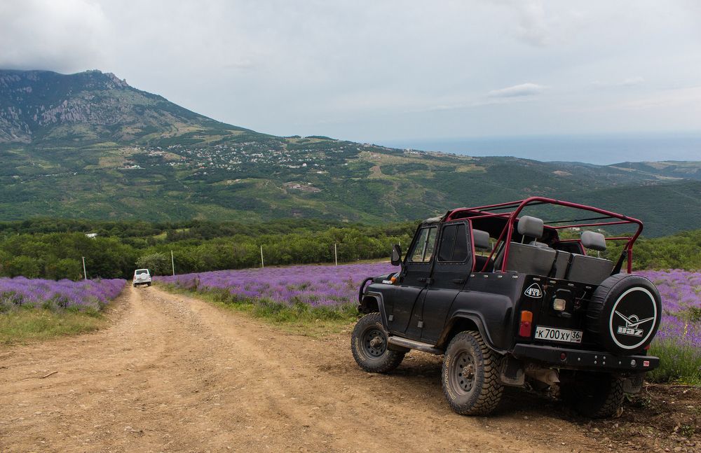 Photograph by Яна Кисловская