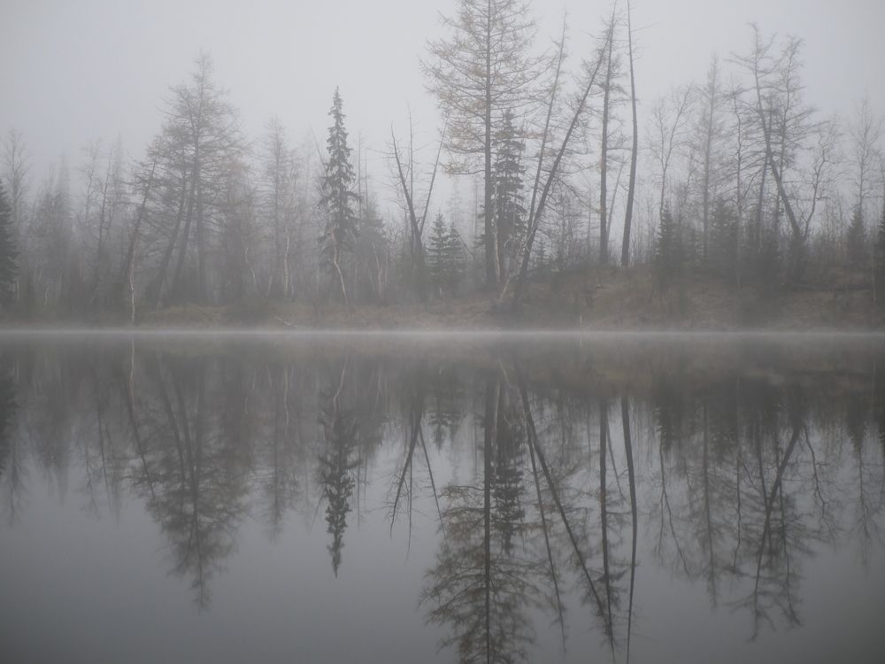 Photograph by Дмитрий Тюрин