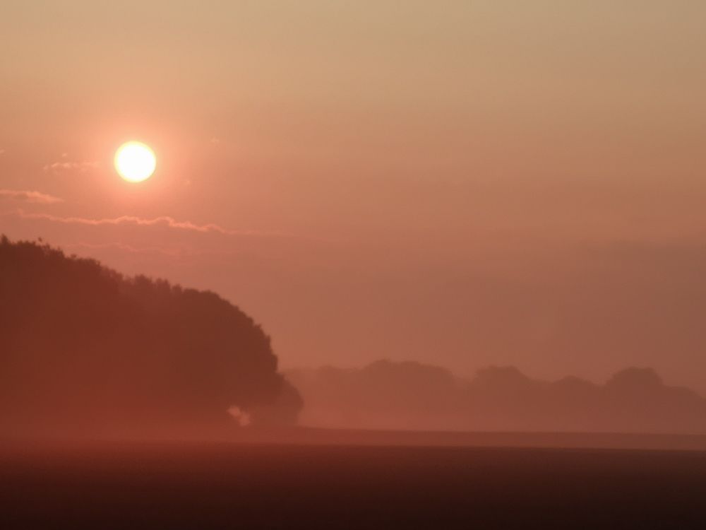 Photograph by Михаил Жарский