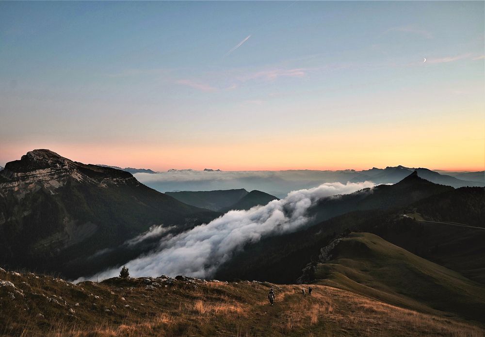 Running away into the distance