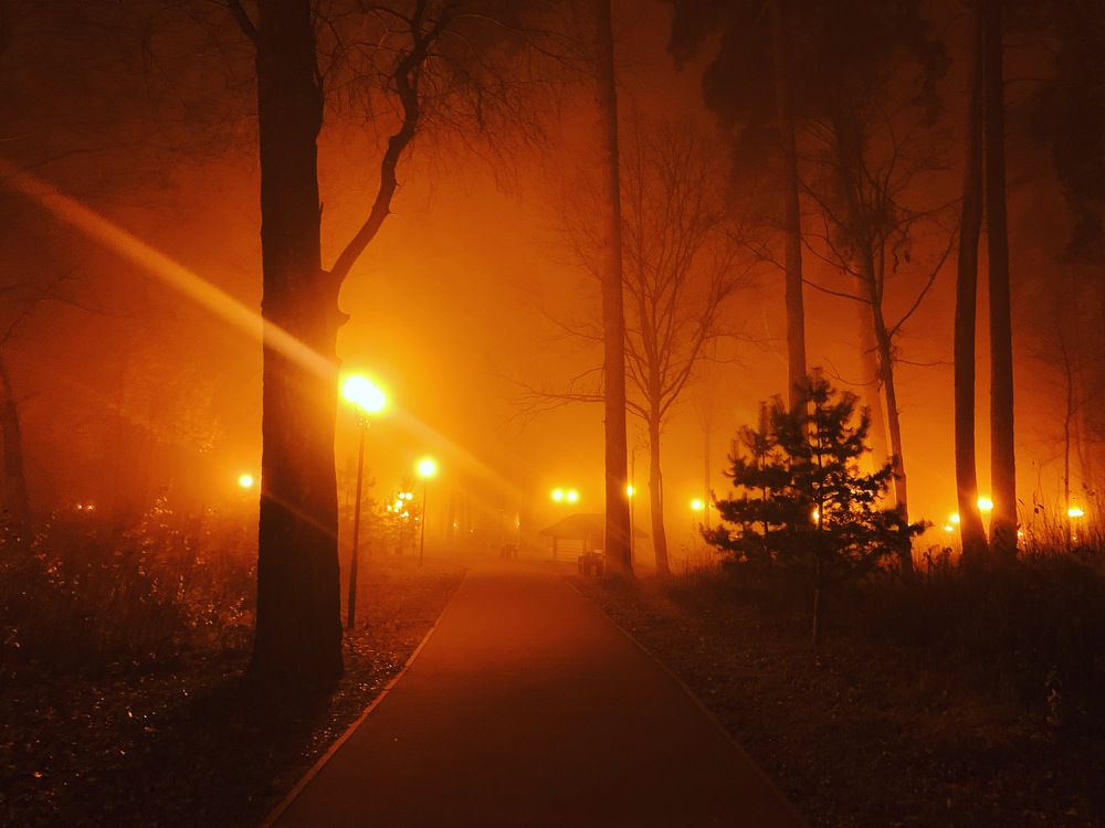 Photograph by Николай Тышкунов