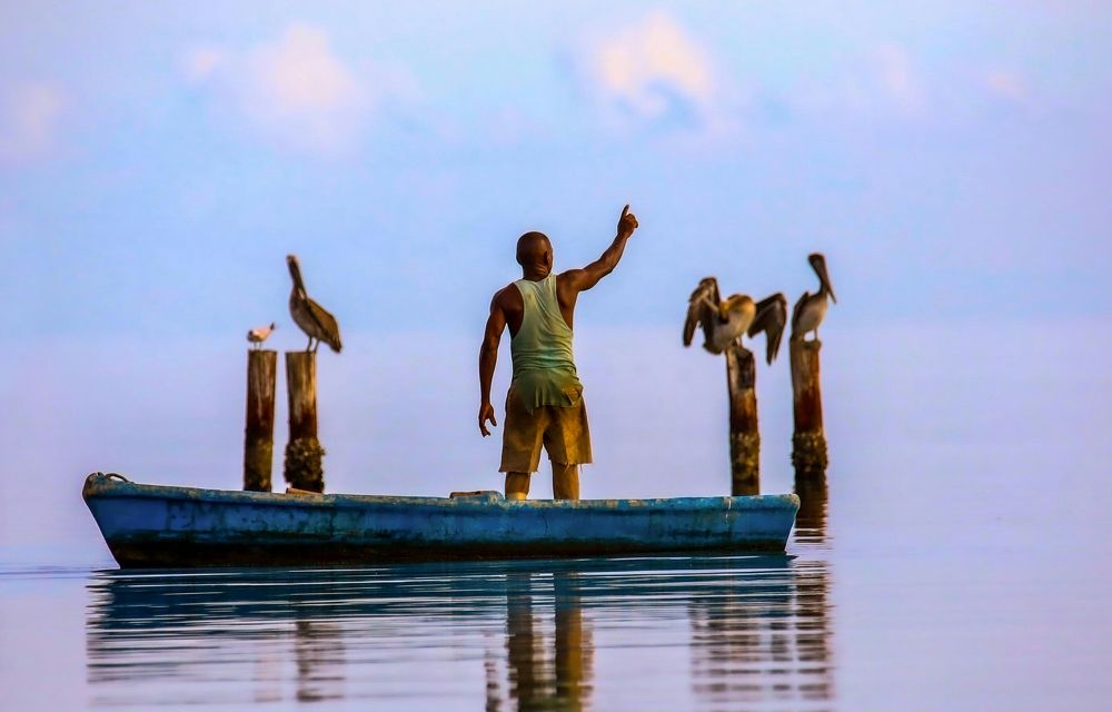 Photograph by Frank cobo blanco