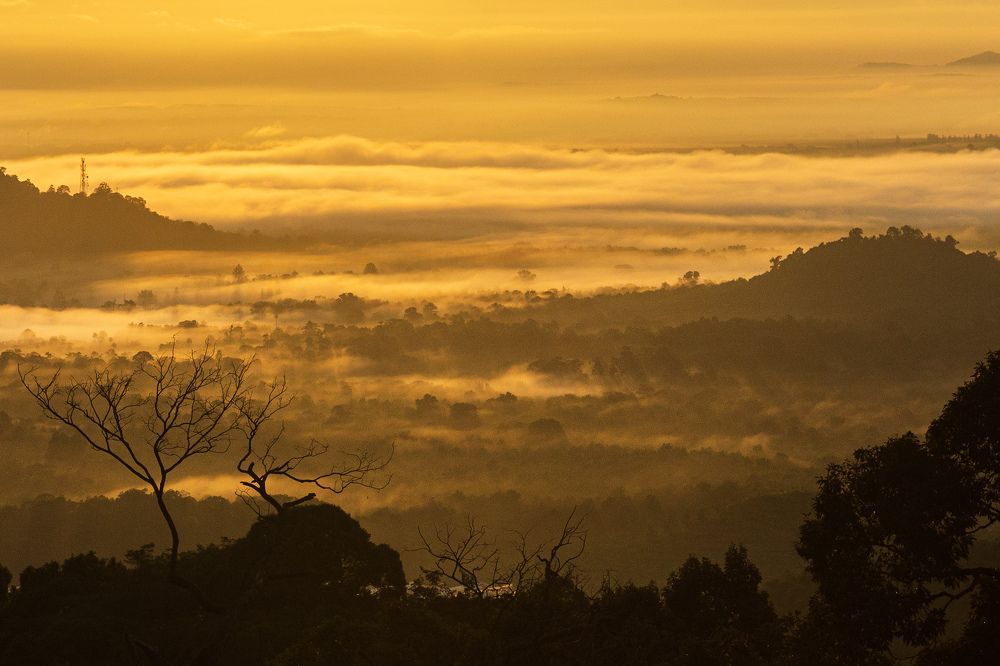 warmth and happiness