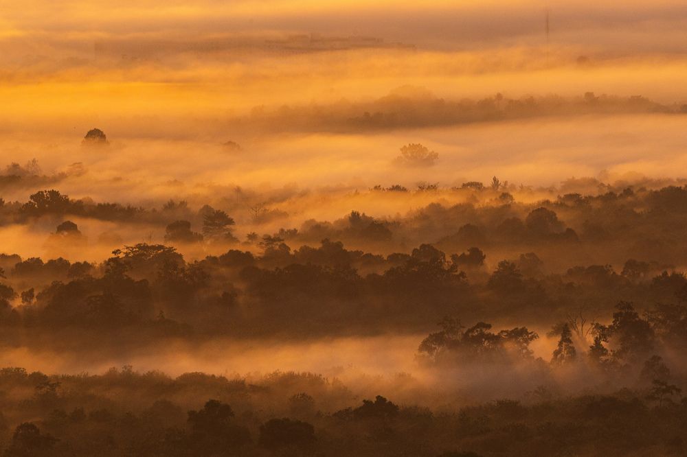 Misty orange at wang kelian