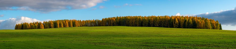 Photograph by Сергей Егоров