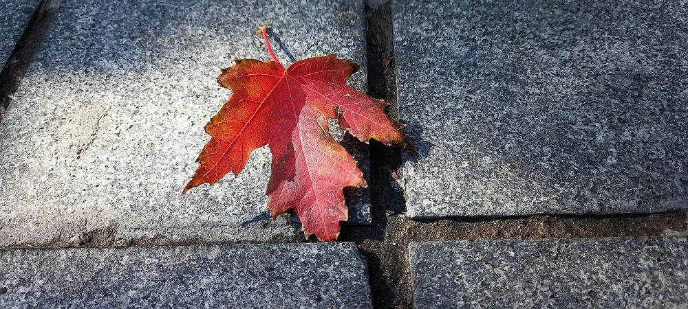 Photograph by Наталья Баранова