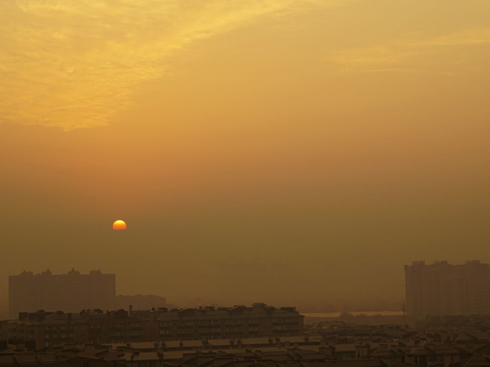 Photograph by Дмитрий Лобанов