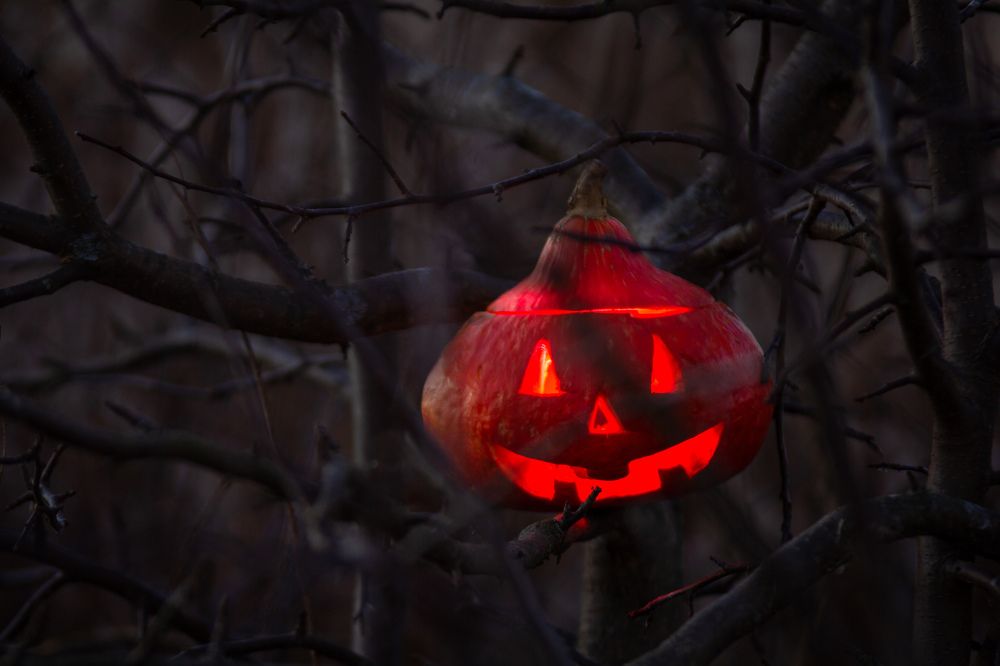 Photograph by Сергей Фаренюк