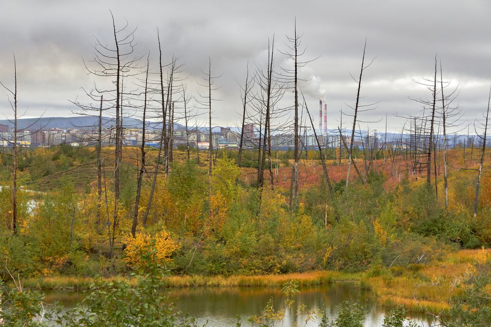 Photograph by Дмитрий Тюрин