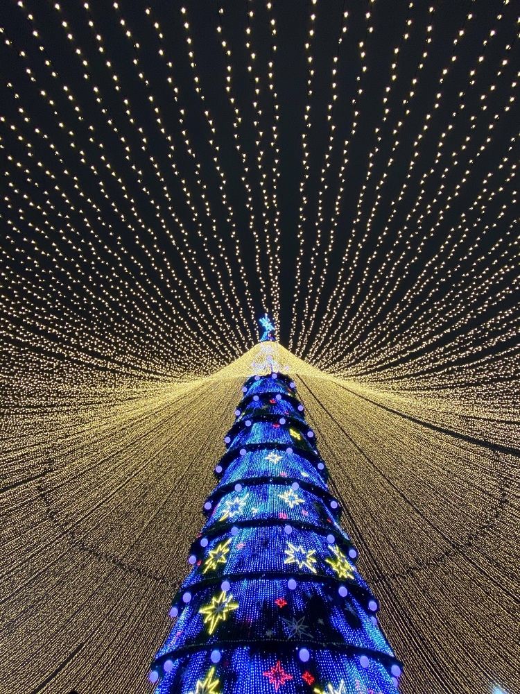 Photograph by Наталья Казачок
