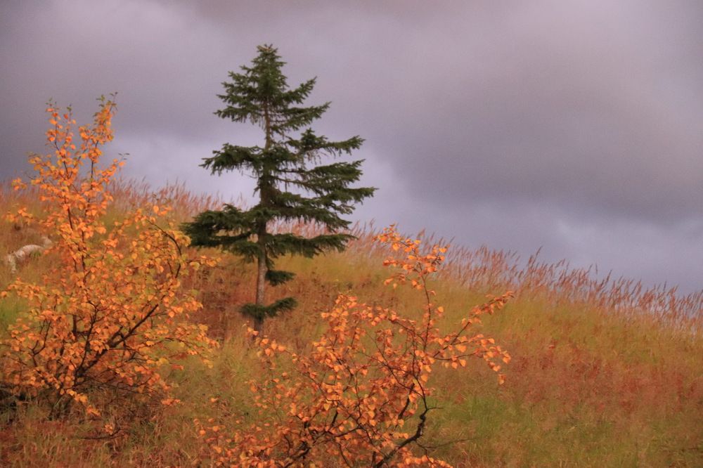 Photograph by Elena Doroshenko