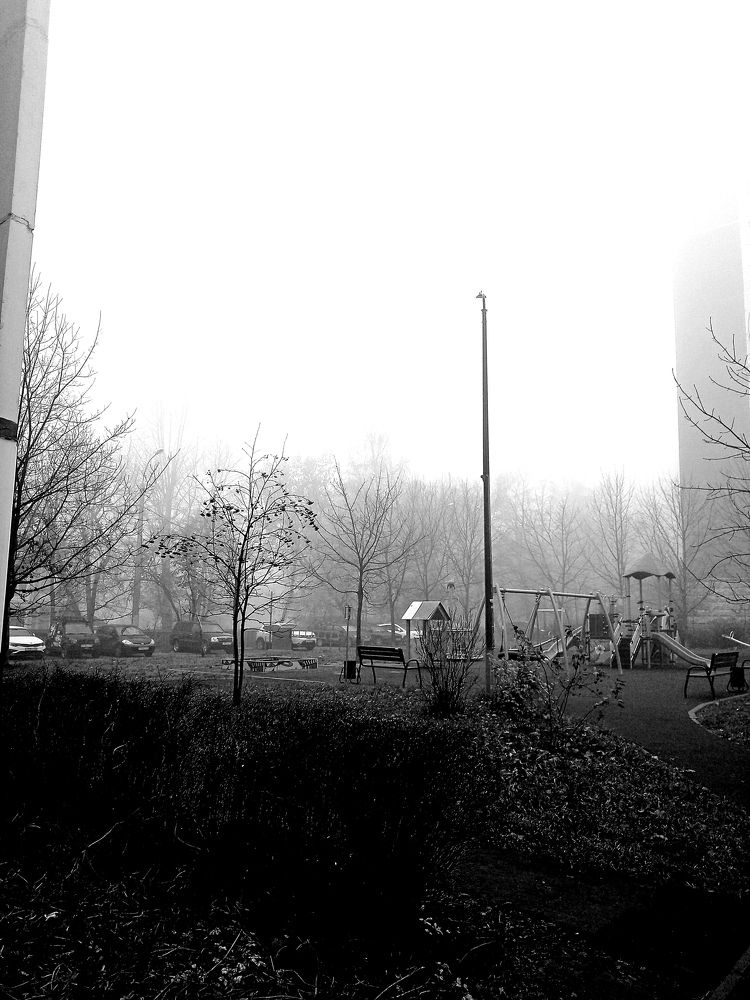 Photo #6676661