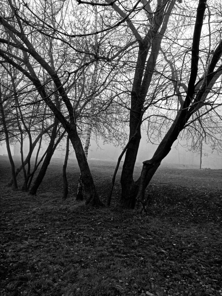 Photo #6676662