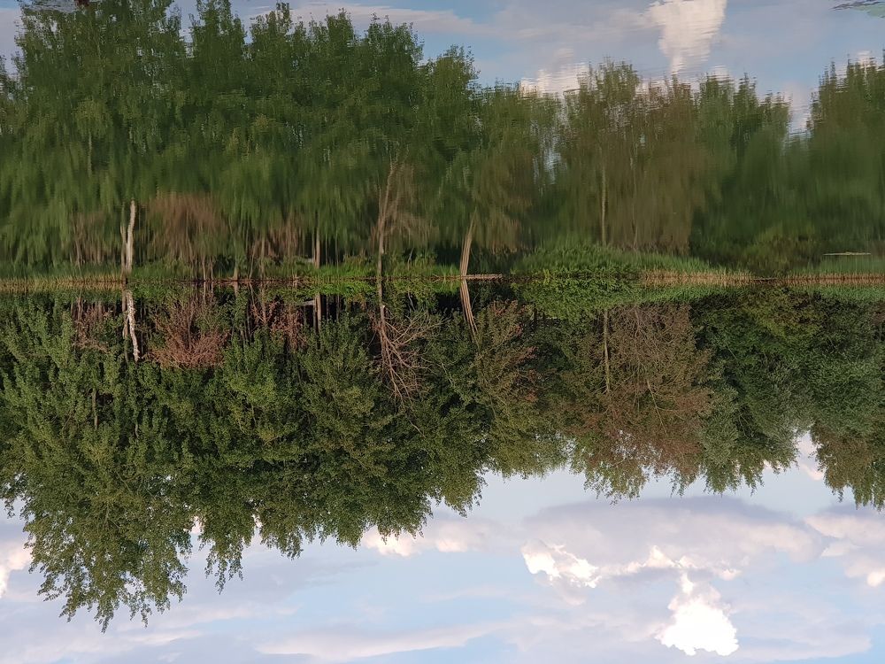 Photograph by Александр Кудрявцев