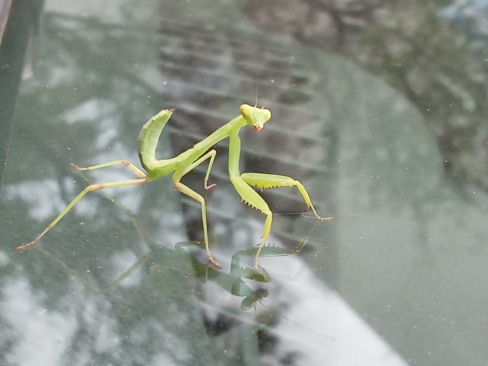 Photograph by Алексей Казадаев