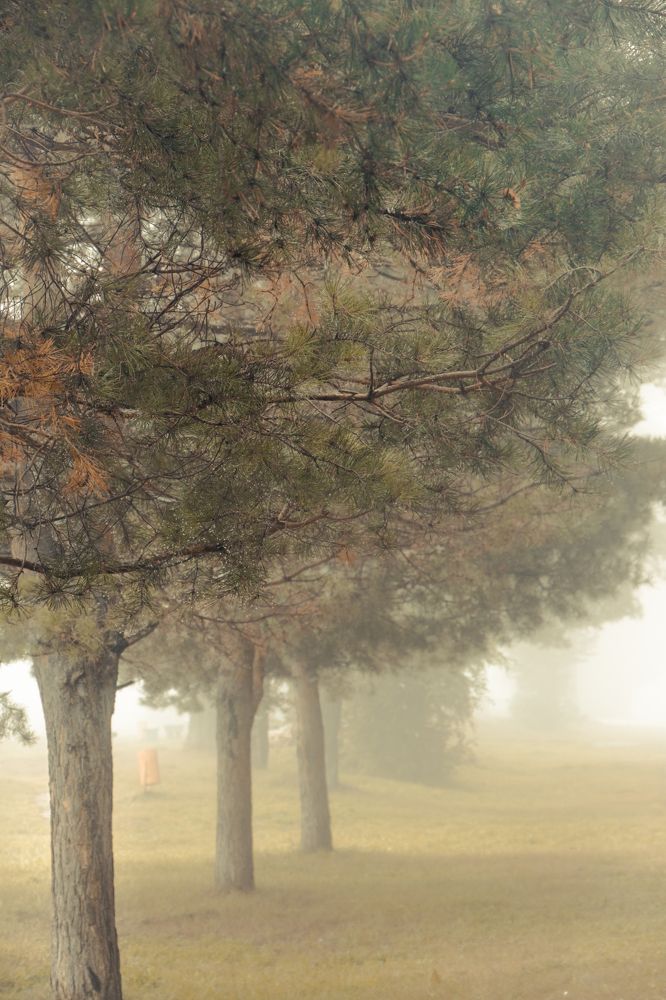 Photograph by Елена Илюхина