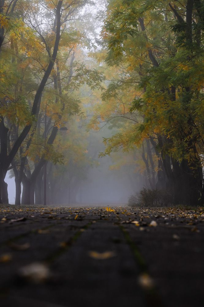 Photograph by Владимир Кульбит