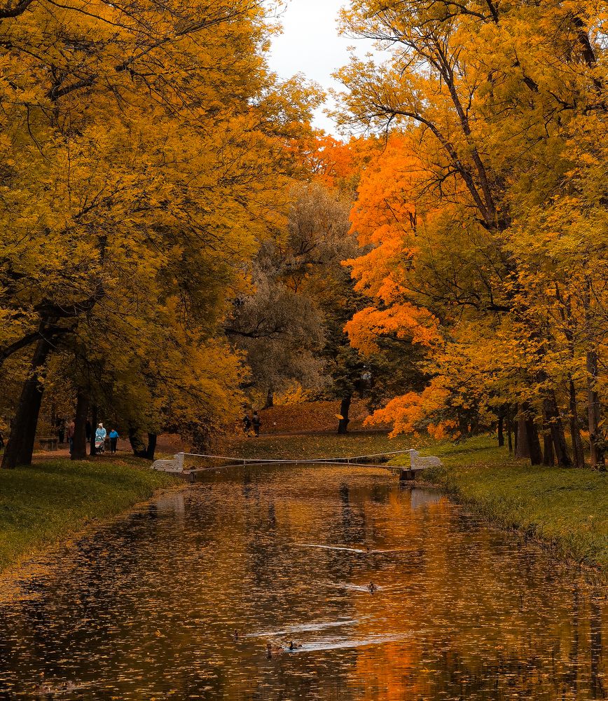 Photograph by Александр Державин