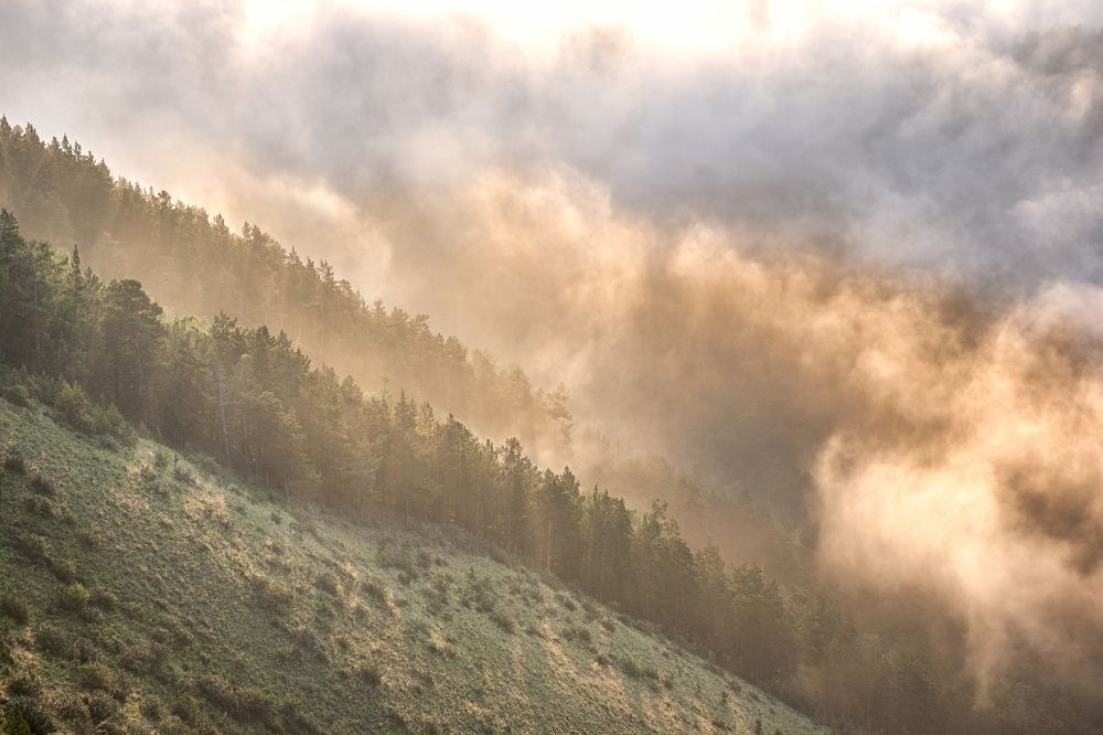 Photograph by Константин Самбурский