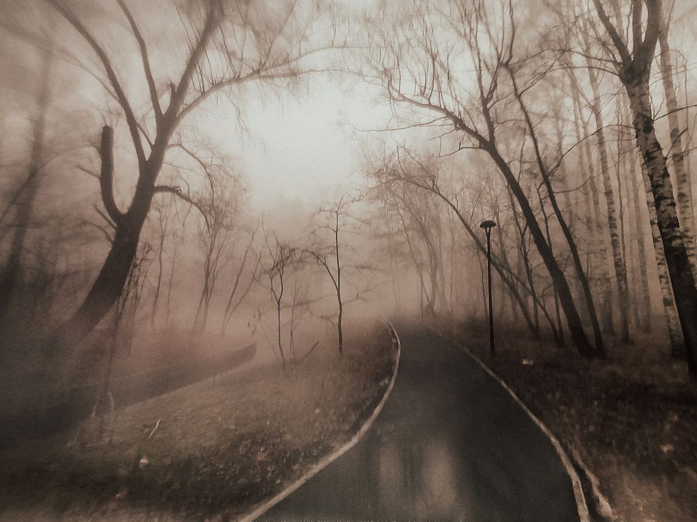 Photograph by Katja Sen