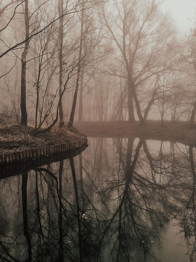 Photograph by Katja Sen