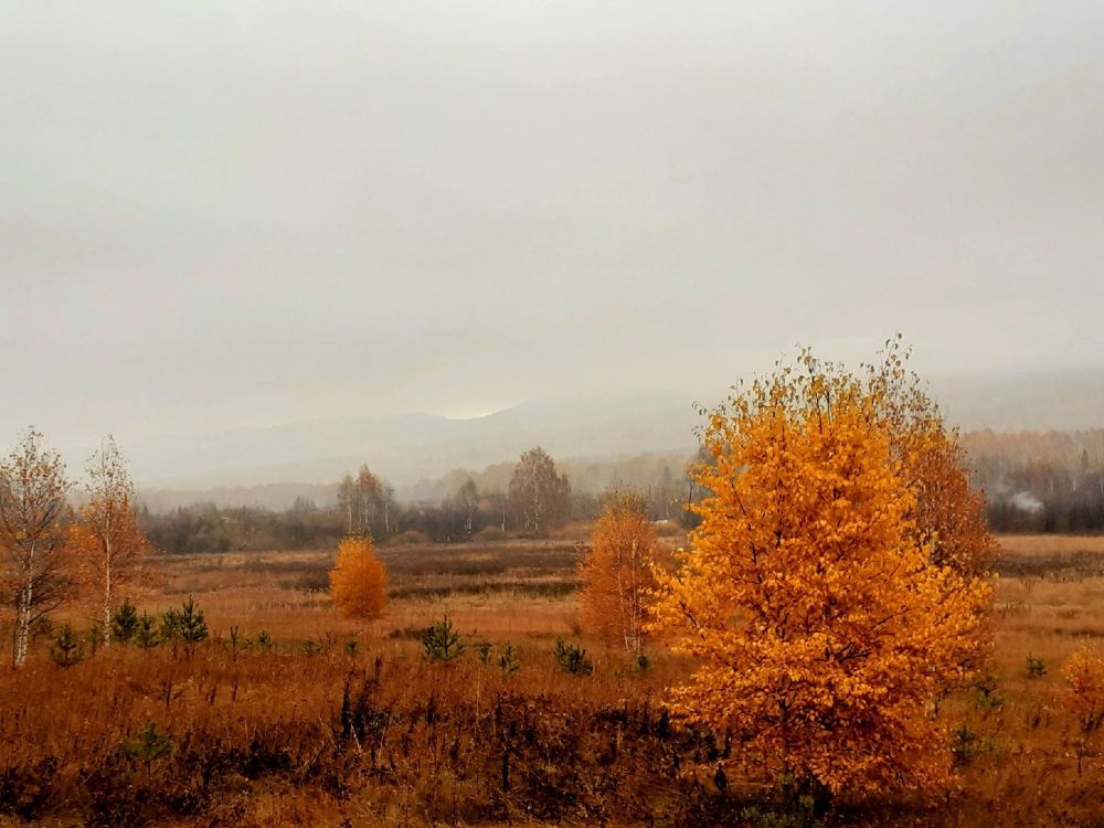 Photograph by Ирина Пичугина