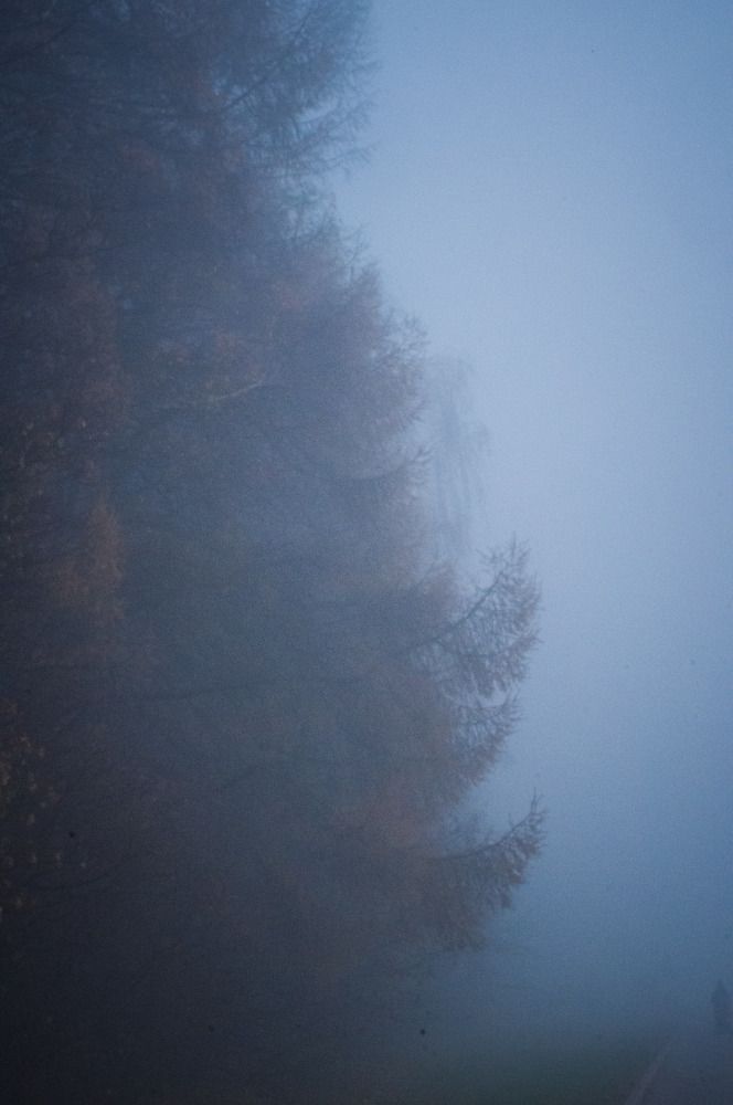 Photograph by Ольга Яценко