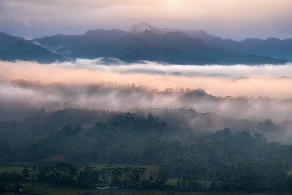 Photograph by Wahyu Santosa