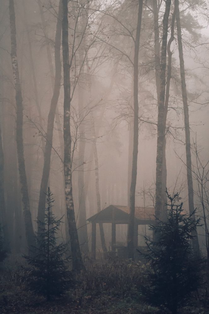 Photograph by Ольга Яценко