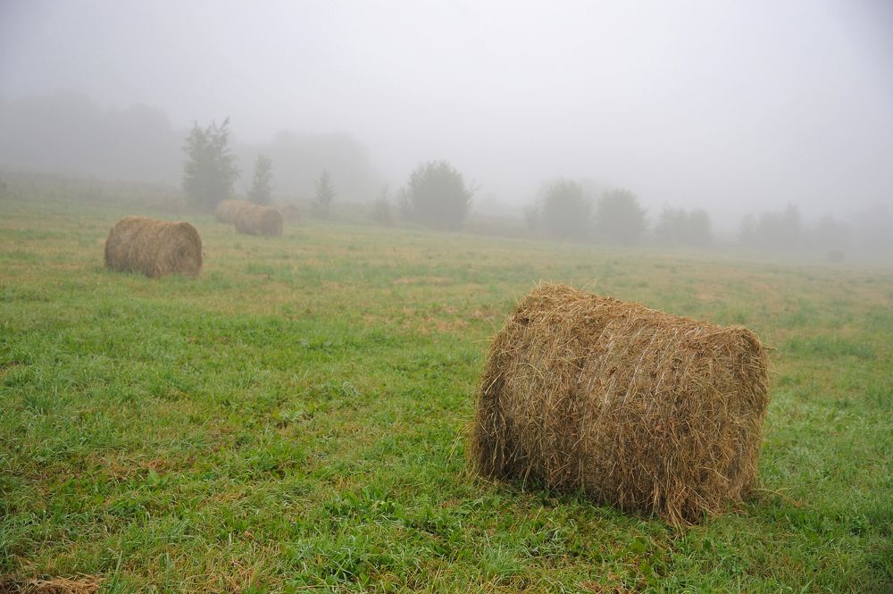 Photograph by Михаил