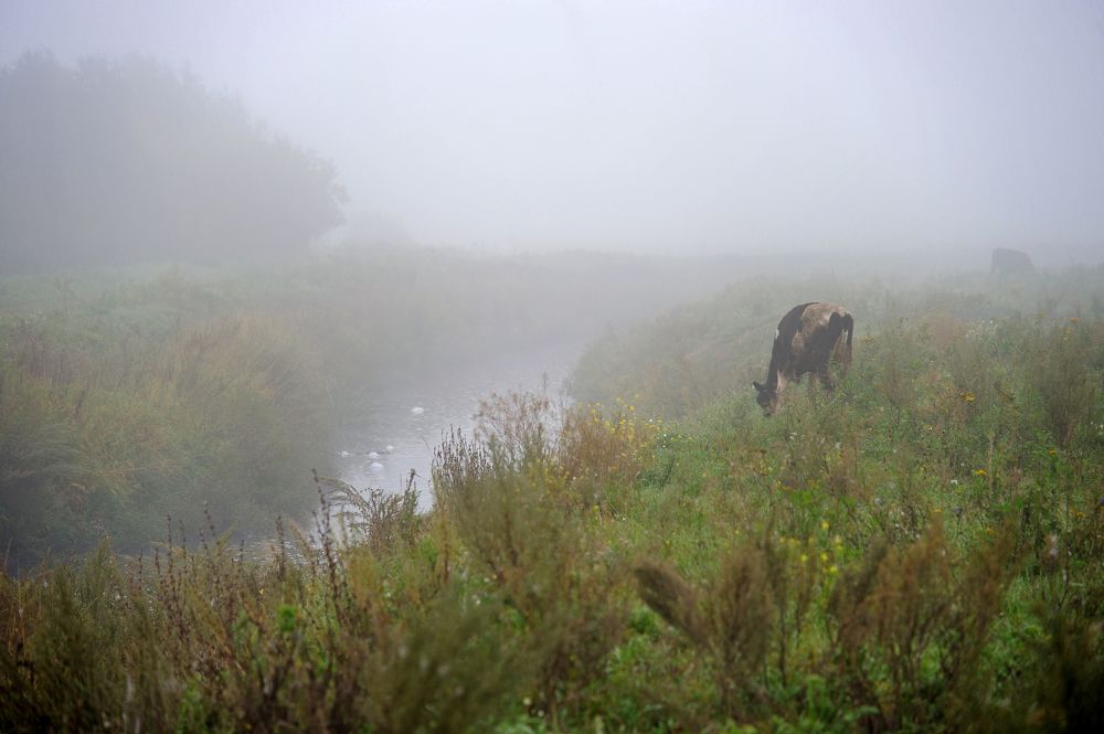 Photograph by Михаил