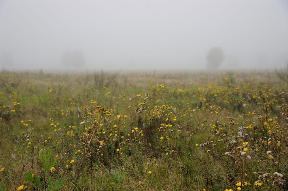 Photograph by Михаил