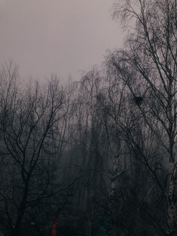Photograph by Татьяна Дубовицкая