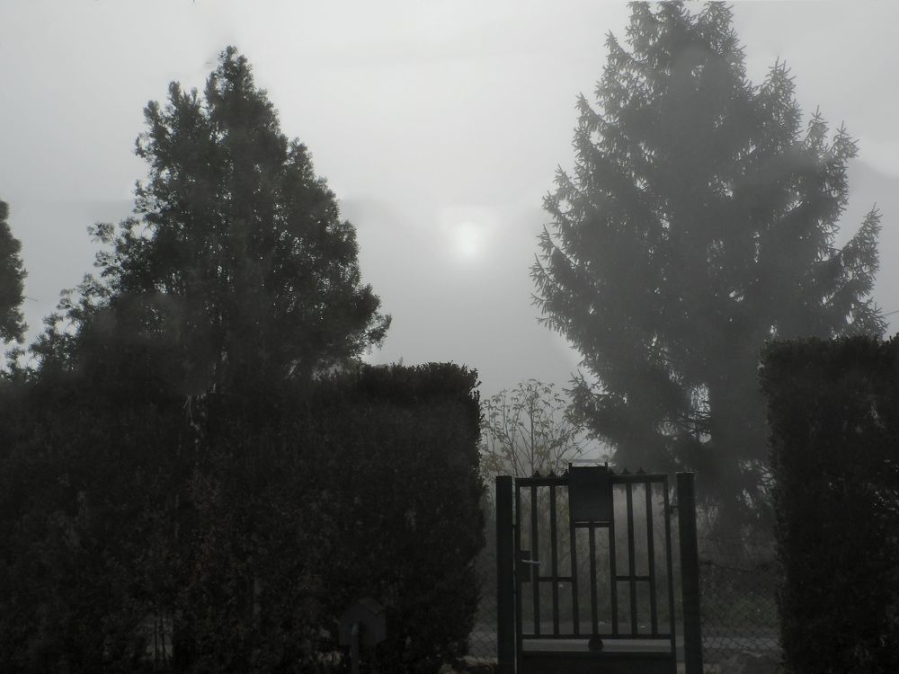 Photograph by János Rábli