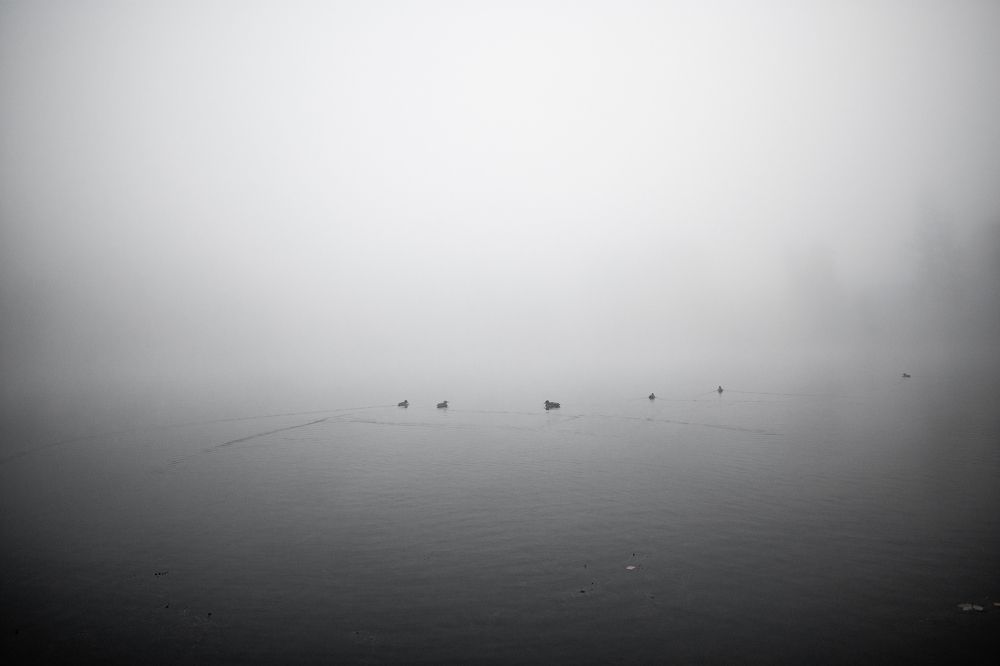 Photograph by Андрей Липовый