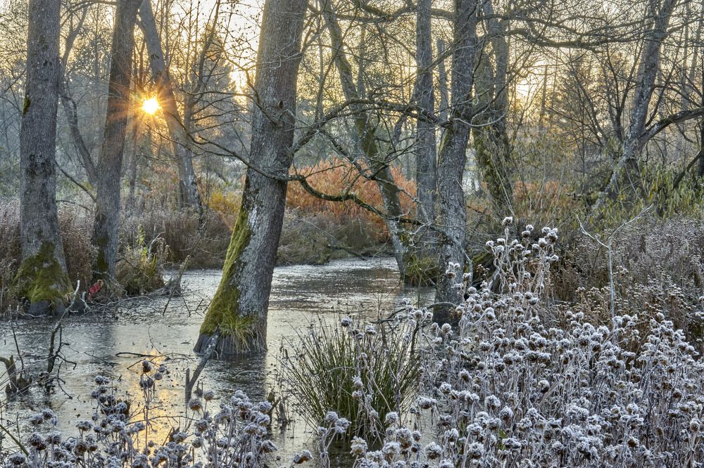 Photograph by Татьяна Полянская